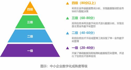 破繭成蝶 2022年中國中小企業(yè)數(shù)字化轉(zhuǎn)型之路——數(shù)字技術(shù)服務(wù)的關(guān)鍵賦能